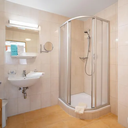 Appartement Rosa-6 By Interhome Mayrhofen